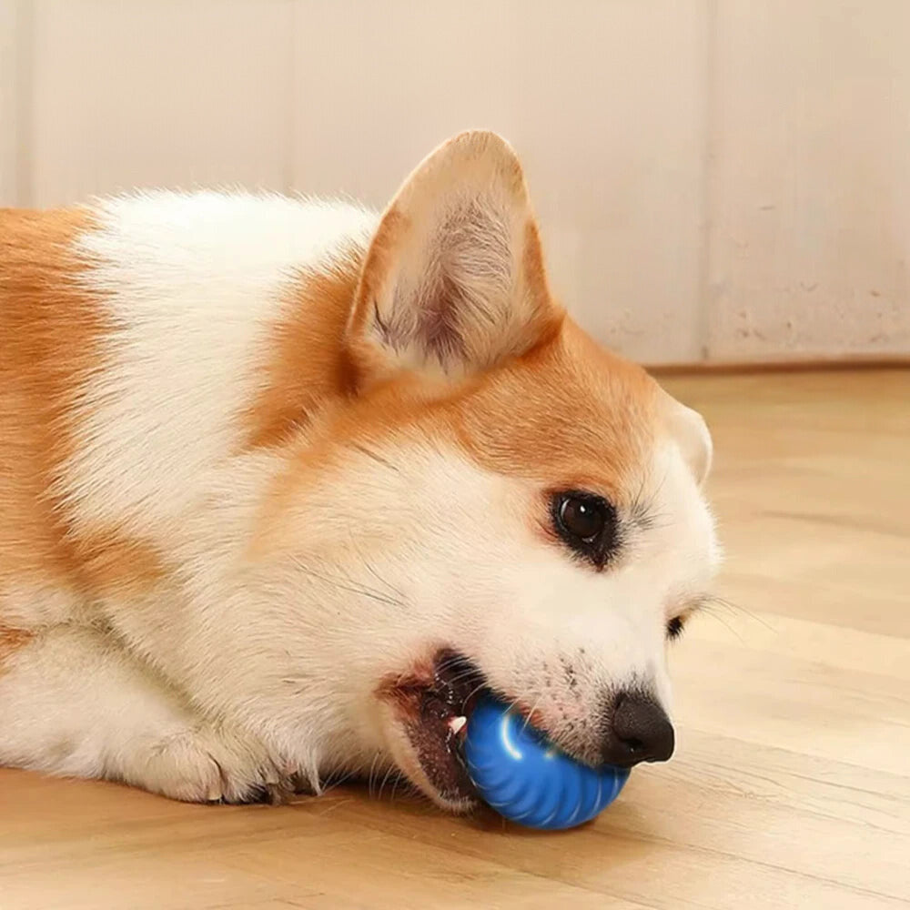 Smart Interactive Dog Toy Ball