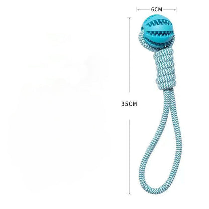 Durable chew toy with rope