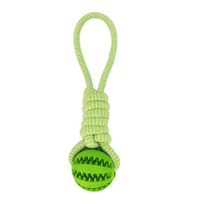 Durable chew toy with rope